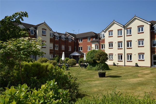 External