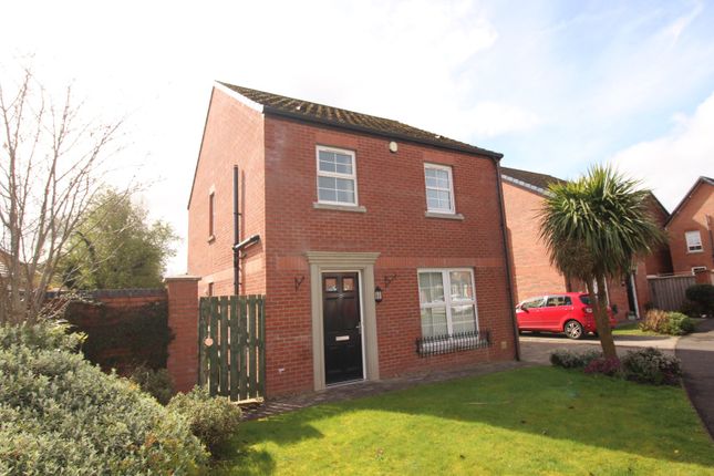 Thumbnail Detached house for sale in Magheralave Meadows, Lisburn, County Antrim