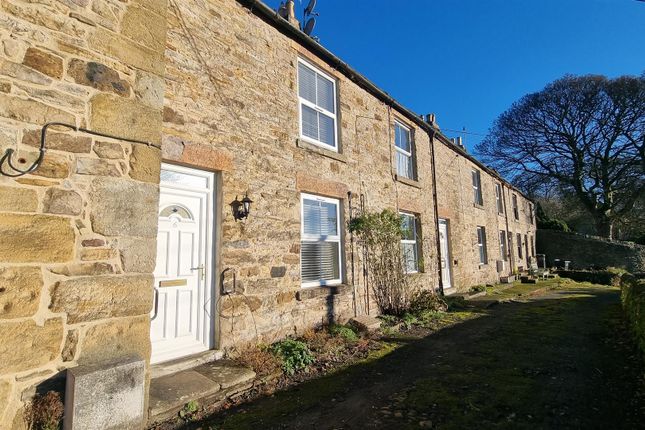 Terraced house to rent in Stone Houses, Stanhope, Bishop Auckland
