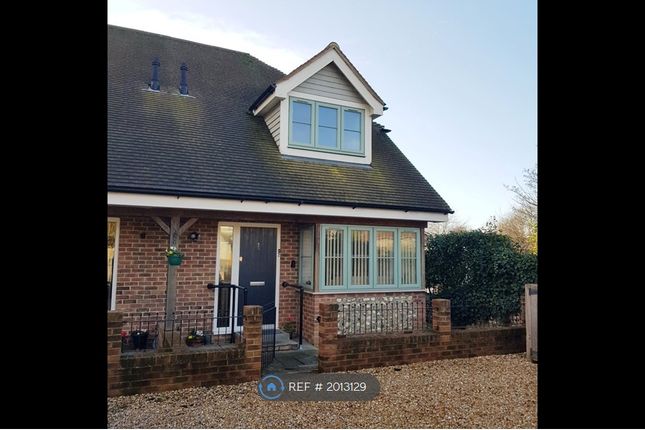 Thumbnail Semi-detached house to rent in White Rose Court, Chichester
