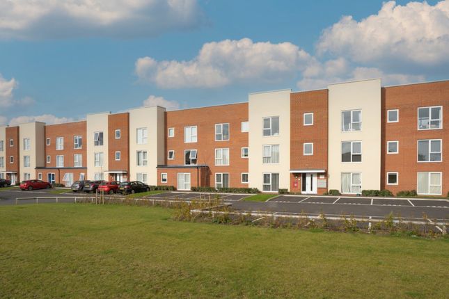 Thumbnail Flat for sale in Juby Court, Norwich