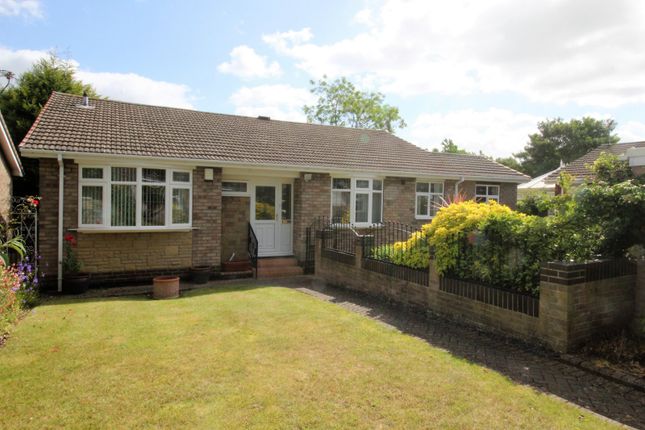 Thumbnail Bungalow for sale in The Avenue, Bessacarr, Doncaster