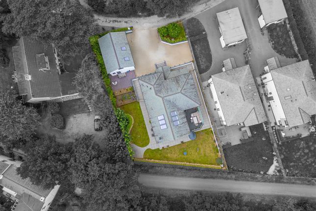 Shelleys, Polgarth Farm, Crowntown photo 2