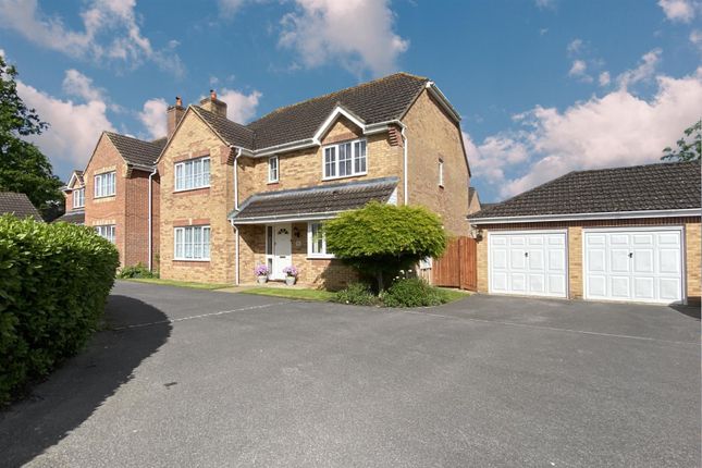 Thumbnail Property for sale in Field Place, Verwood