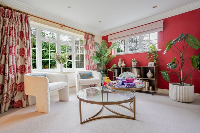19 Armitage Court, Ascot photo 4