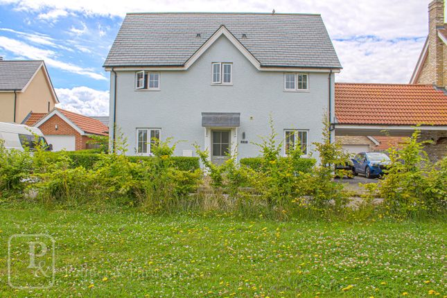 Detached house to rent in Pippin Drive, Boxted, Colchester, Essex