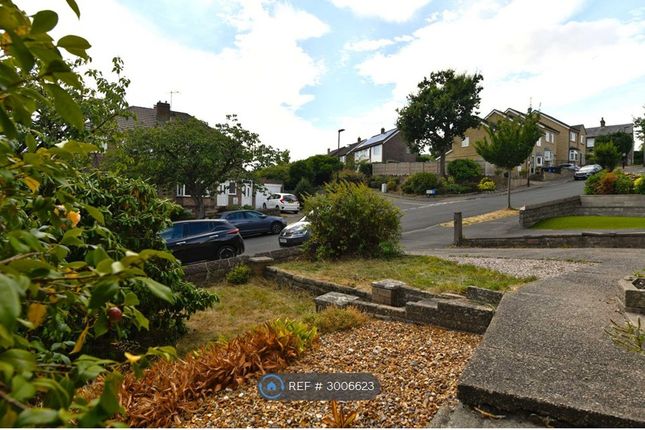 Hollins Lane, Sheffield photo 2