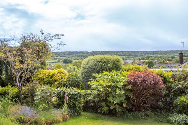 4 Higher Ridgeway, Ottery St Mary photo 3