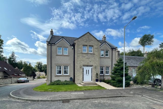 Clyde court top for sale