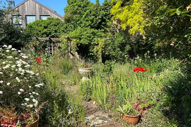 Summer Garden