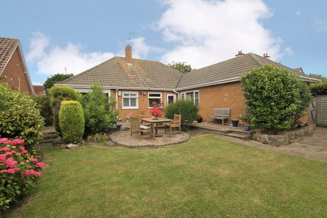 Thumbnail Detached bungalow for sale in Manor Avenue, Deal