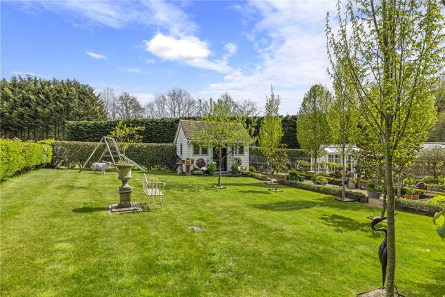 The Barn Monkshatch,, Off Down Lane, Surrey photo 4