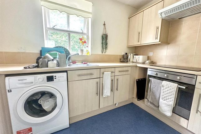 5 Jellicoe Avenue, Bristol photo 4