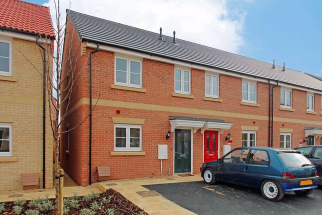 Thumbnail Terraced house to rent in Hetterley Drive, Barleythorpe, Oakham