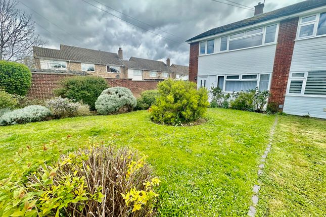 Thumbnail Semi-detached house to rent in Bedells Avenue, Black Notley, Braintree