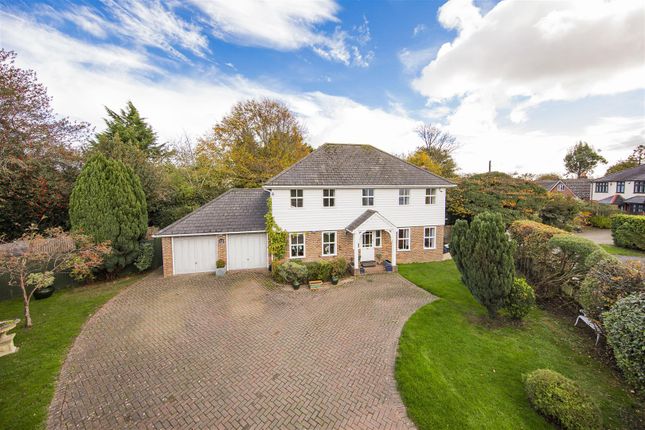 Large Drive And Garage