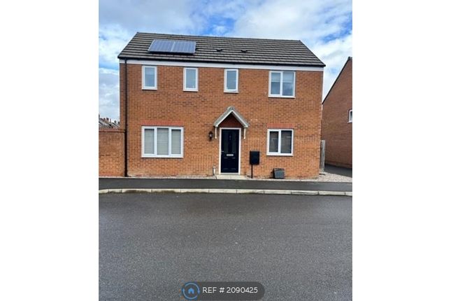 Thumbnail Detached house to rent in Buttercream Drive, Peterborough