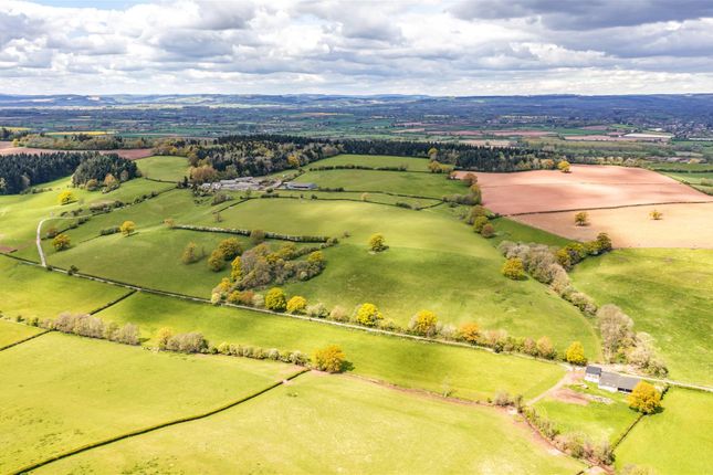Dji_0295-Edit.Jpg