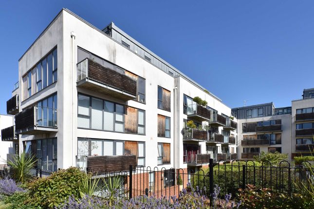 Thumbnail Flat to rent in Somerhill Avenue, Hove, East Sussex