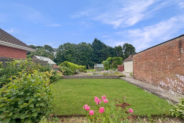 16 St. Margarets Road, Caerphilly photo 3