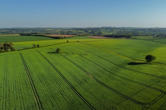 Dji_0927.Jpg