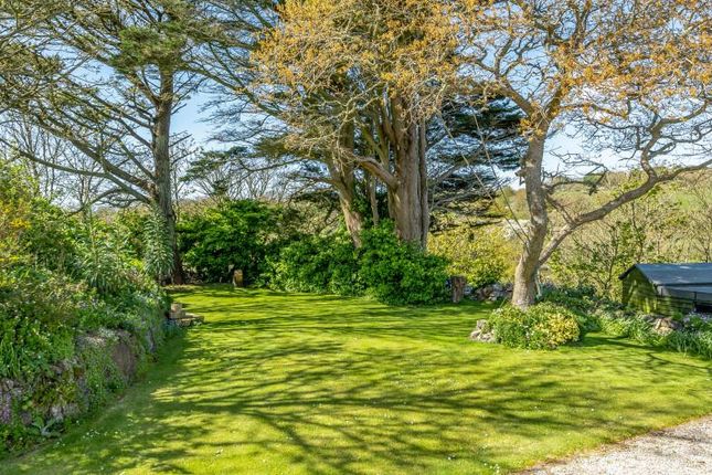 Arlyn Wartha, Chymbloth Way, Coverack photo 2