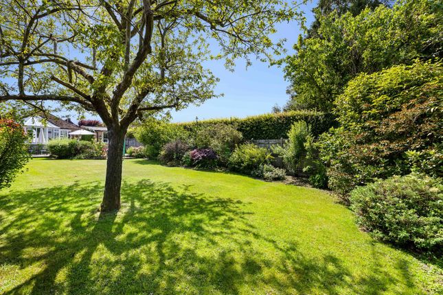 94 Heathcote Drive, East Grinstead photo 4