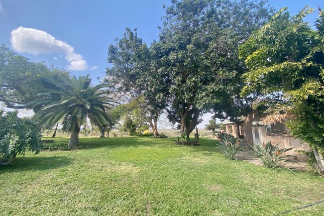 Farm for sale in 194 Guernsey, 194 Guernsey, Guernsey, Hoedspruit, Limpopo Province, South Africa