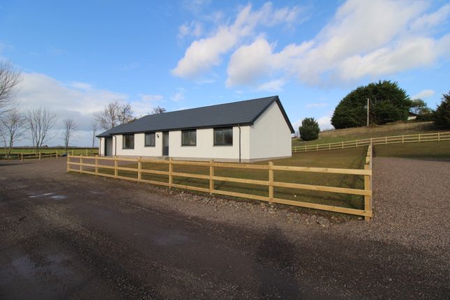 Thumbnail Bungalow for sale in Fearn, Tain