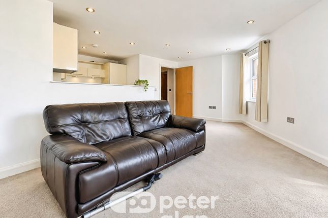 Cardiff photo 4