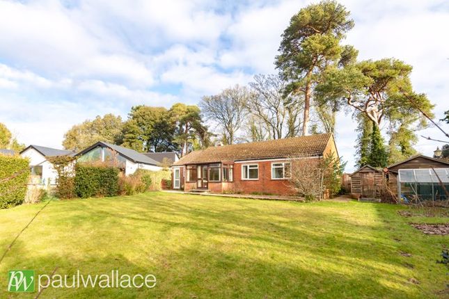 Thumbnail Detached bungalow for sale in Church Lane, Wormley, Broxbourne