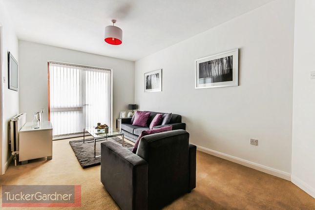 36, Cambridge photo 2