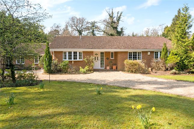 Thumbnail Bungalow for sale in Charters Road, Sunningdale, Berkshire