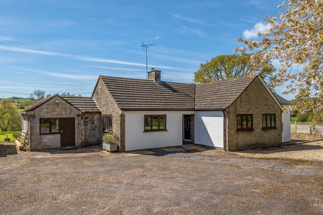 Detached bungalow for sale in Colyton
