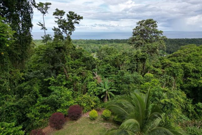 Apartment for sale in Street Name Upon Request, Limón Talamanca Cahuita Hone Creek, Cr