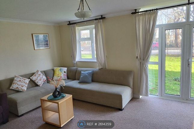 Bright Spacious Lounge