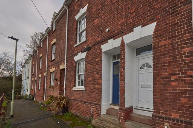 Thumbnail Terraced house to rent in West View Terrace, Exeter
