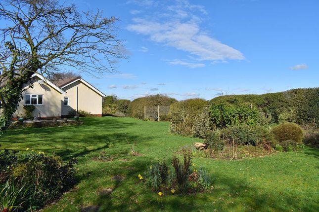47, Woodhill Road, Newark photo 4