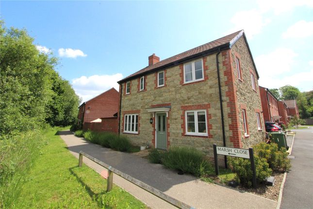 Thumbnail Detached house to rent in Marsh Close, Petersfield, Hampshire