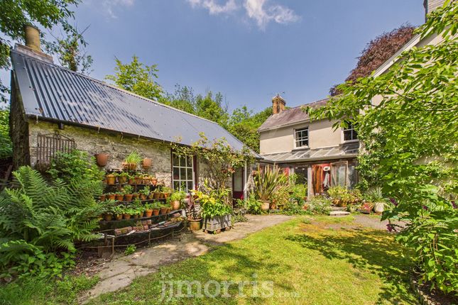 Llandre, Llanfyrnach photo 3