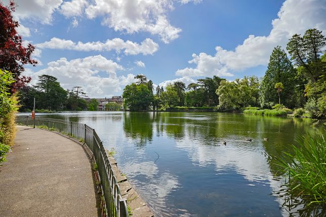 The Lodge, Brynmill Park, Swansea photo 4