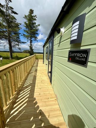 10, Slaley View Holiday Park, Hexham photo 3