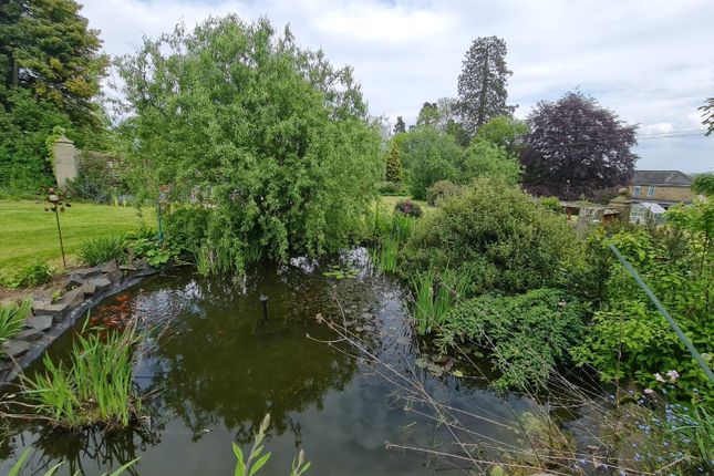 Temp Ajf Garden 6 Pond.Jpg