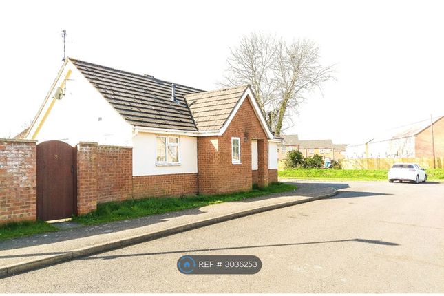Robin Mews, Wisbech photo 3