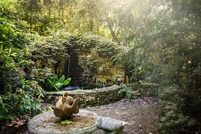 Woodland Garden