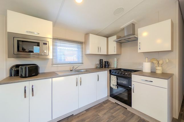 Plot 20 Delta Saffron Deluxe lodge at Hall More Holiday Park, Hale, Milnthorpe photo 4