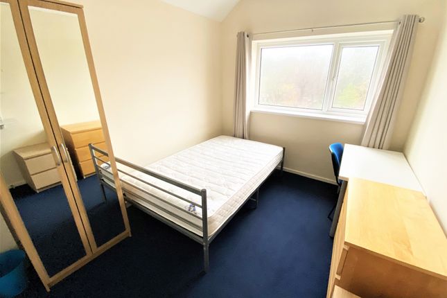 Shared accommodation to rent in Waterloo Place, Brynmill, Swansea