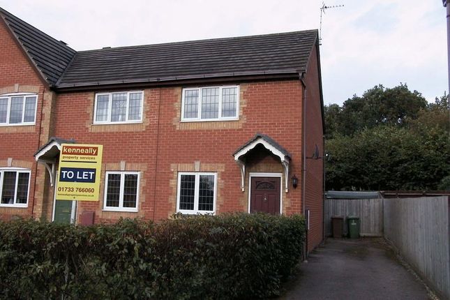 Thumbnail Semi-detached house to rent in Lornas Field, Hampton Hargate, Peterborough