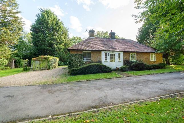 Detached bungalow for sale in Steep Hill, Chobham, Woking