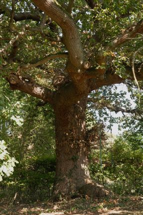 312517 - 10 High St, Toft-75.Jpg